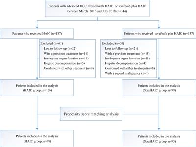 Hepatic Arterial Infusion Chemotherapy of Oxaliplatin, Fluorouracil, and Leucovorin With or Without Sorafenib as Initial Treatment for Advanced Hepatocellular Carcinoma